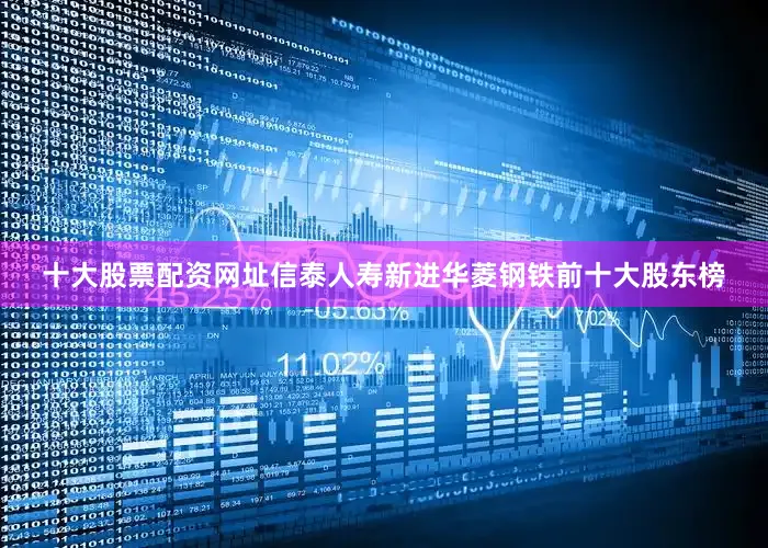十大股票配资网址信泰人寿新进华菱钢铁前十大股东榜