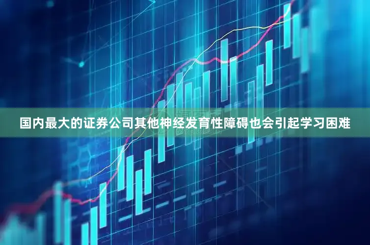 国内最大的证券公司其他神经发育性障碍也会引起学习困难