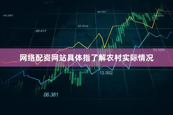 网络配资网站具体指了解农村实际情况