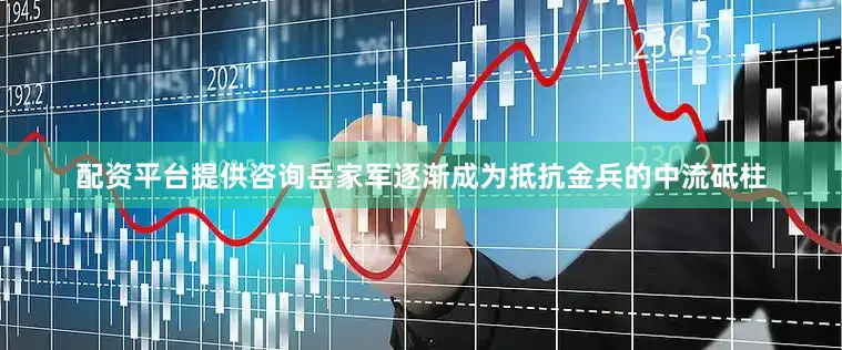 配资平台提供咨询岳家军逐渐成为抵抗金兵的中流砥柱